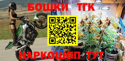 тгк Кингисепп