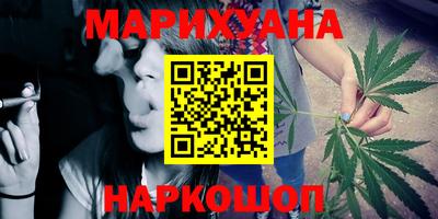 тгк Кингисепп