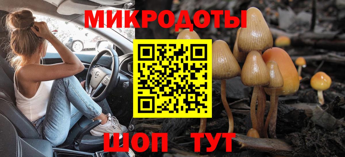 Кстово  Галлюциногенные грибы мицелий  продажа наркотиков  Псилоцибиновые грибы прущие грибы  Вход с VPN 