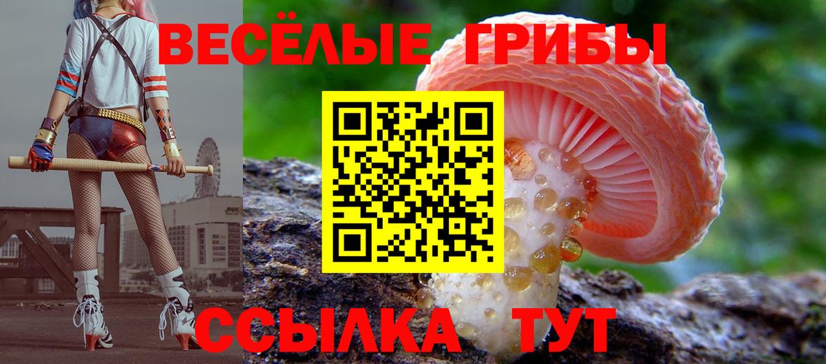 Псилоцибиновые грибы Psilocybe Кстово